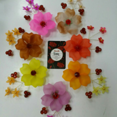 مگنت-گل-رزچیپسی