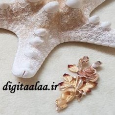 پلاک-مدل-فرشته