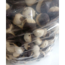 کشک-و-قارا-دو-رنگ