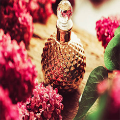 ادکلن-زنانه