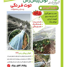 تونل-پیش-رس-توت-فرنگی