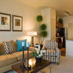 طراحی-و-ساخت-انواع-سازه-های-چوبی