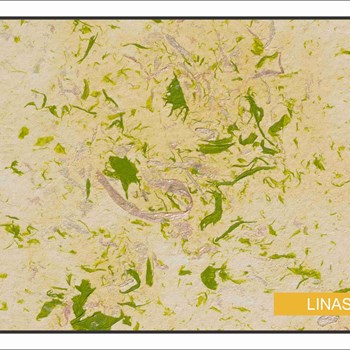 لیناسرنگ-دکوراتیو-داخلیساندورا