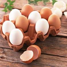 تخم-مرغ-محلی