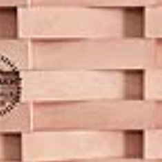 آجر-شیل-7-31-گل-بهی-کیفیت-عالی-در-آرادساخت