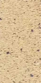 آجر-شاموتی-در-آرادساخت