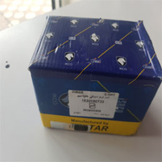 لنت-ترمزپژو405