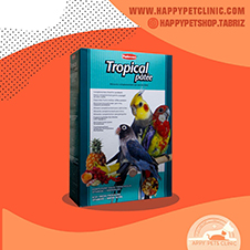 غذای-طوطی-سانان-پادوان-مدل