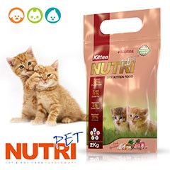 غذای-خشک-گربه-نوتری-مدل-Kittenبچه-گربهوزن-2-کیلوگرم
