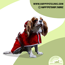 لباس-سگ