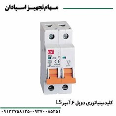 کلید-مینیاتوری-دو-پل-6-آمپر-ال-اس-LS