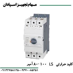 کلید-حرارتی-ال-اس-100-آمپر