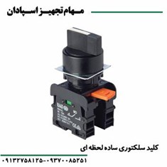 کلید-سلکتوری-ساده-لحظه-ای