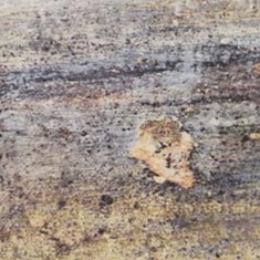 کفپوس-هرمس306