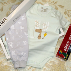 5تکه-آرین-طرح-گوزن