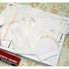 20تکه-آرین-طرح-گل-برجسته