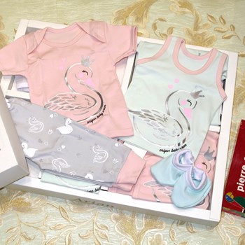 20تکه-آرین-طرح-قو