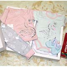 20تکه-آرین-طرح-قو