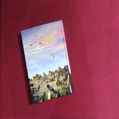 حبیبه-بی-نشان