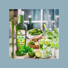 شربت-گیاهی-بدون-شکر-موهیتو-900گرمی-رازقی