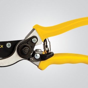 قیچی-باغبانی-کنزاکس