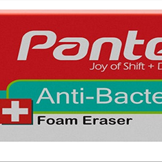 پاک-کن-پنتر-مدل-AntiBacterial-E133سایز-کوچک