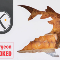 فیله-اوزون-برون-دودی