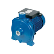 Single-impeller-cast-iron-centrifugal-electric-pumps