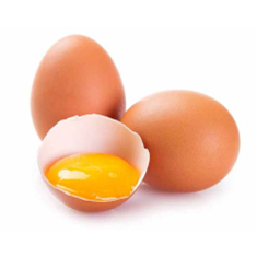 تخم-مرغ-کیلویی