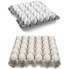 تخم-مرغ-جعبه-ای