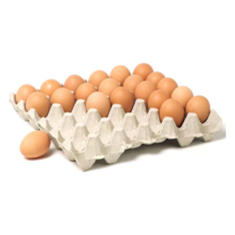 تخم-مرغ-شانه-ای