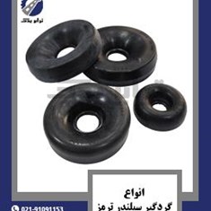 انواع-گردگیر-سیلندر-ترمز