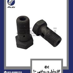 پیچ-گازوئیل-و-روغنی-10