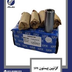 گژنپین-پیستون-SPR