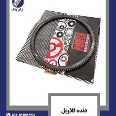 دنده-فلاویل