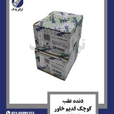 دنده-عقب-کوچک-قدیم-خاور-ایتالیا