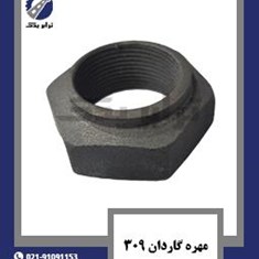 مهره-گاردان-309