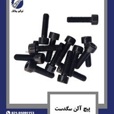 پیچ-آلن-سگدست