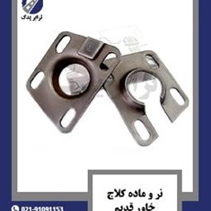 نر-و-ماده-کلاچ-خاور-قدیم