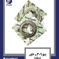 پنج-309-و-خاور-ایتالیا