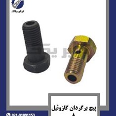 پیچ-برگردان-گازوئیل-8