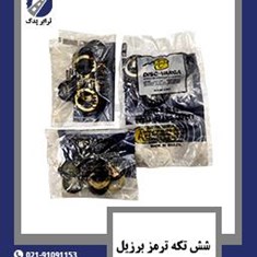 شش-تکه-ترمز-برزیل