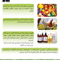 بنر-تبلیغاتی-1