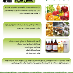 بنر-تبلیغاتی