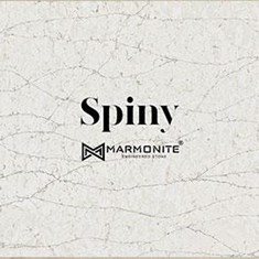سنگ-مارمونایت-Marmonite-mv2122-spinyاسپاینی