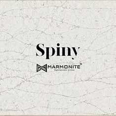 سنگ-مارمونایت-Marmonite-mv2122-spinyاسپاینی