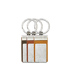 سر-سویچی-و-جا-کلیدی-B13