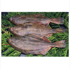 پروتئین-چی-چی-نی