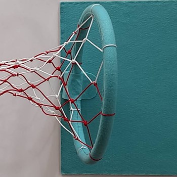 سبد-بسکتبال