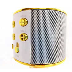 میکروفون-اسپیکر-دار